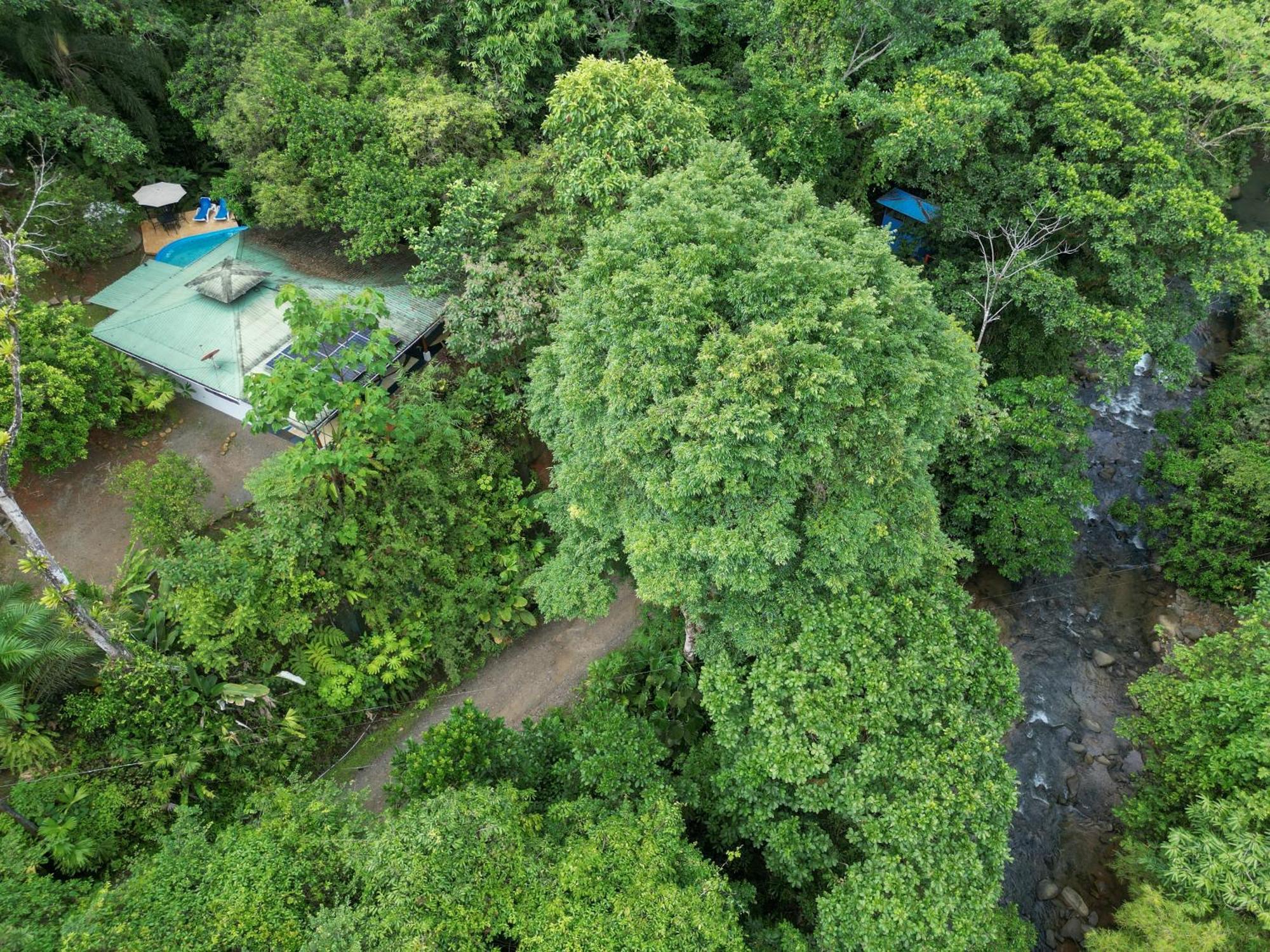 Casa Cedro - Portasol Vacation Rentals Matapalo  Zewnętrze zdjęcie