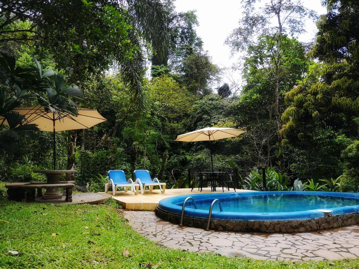 Casa Cedro - Portasol Vacation Rentals Matapalo  Zewnętrze zdjęcie